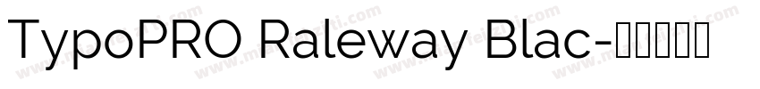 TypoPRO Raleway Blac字体转换